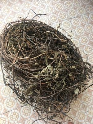 手工烧仙草
