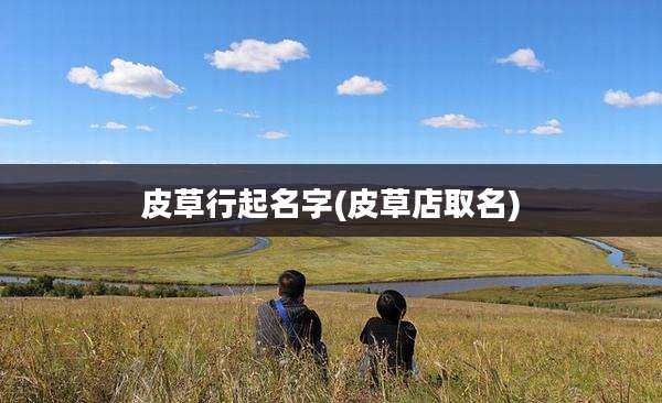 皮草行起名字(皮草店取名)