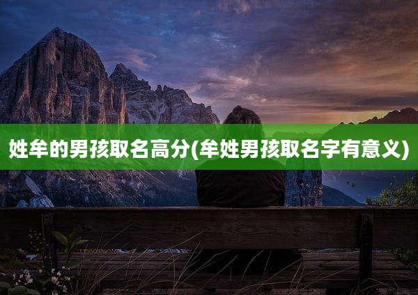 姓牟的男孩取名高分(牟姓男孩取名字有意义)