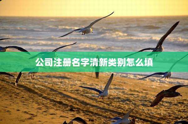 公司注册名字清新类别怎么填