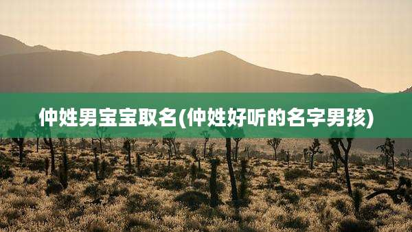 仲姓男宝宝取名(仲姓好听的名字男孩)