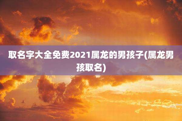 取名字大全免费2021属龙的男孩子(属龙男孩取名)