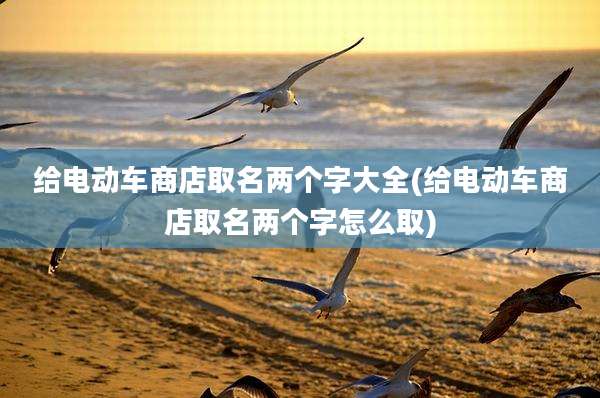给电动车商店取名两个字大全(给电动车商店取名两个字怎么取)
