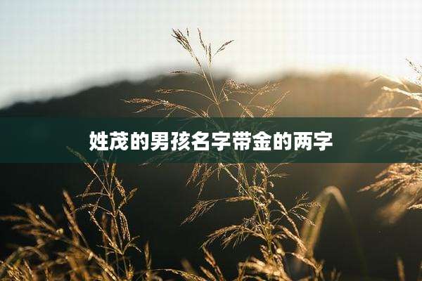 姓茂的男孩名字带金的两字