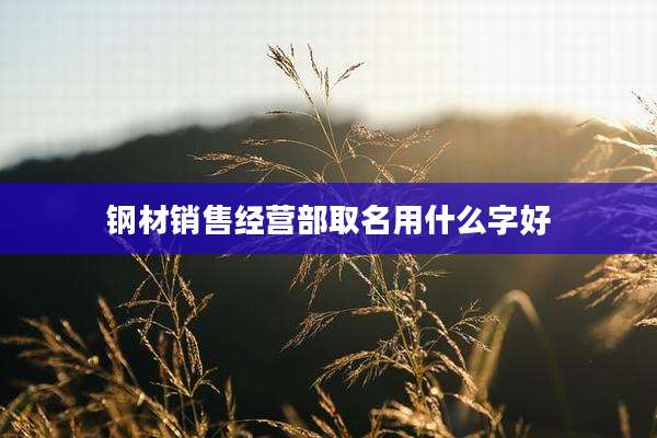 钢材销售经营部取名用什么字好