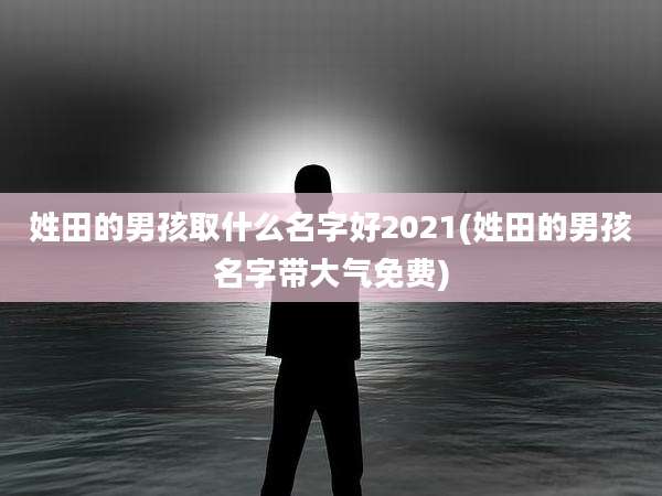姓田的男孩取什么名字好2021(姓田的男孩名字带大气免费)