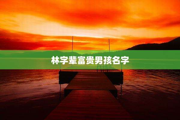 林字辈富贵男孩名字