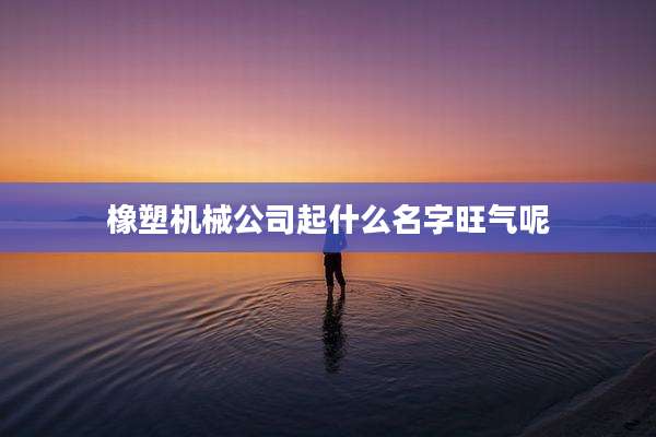 橡塑机械公司起什么名字旺气呢