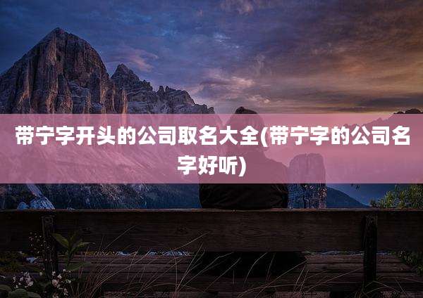带宁字开头的公司取名大全(带宁字的公司名字好听)