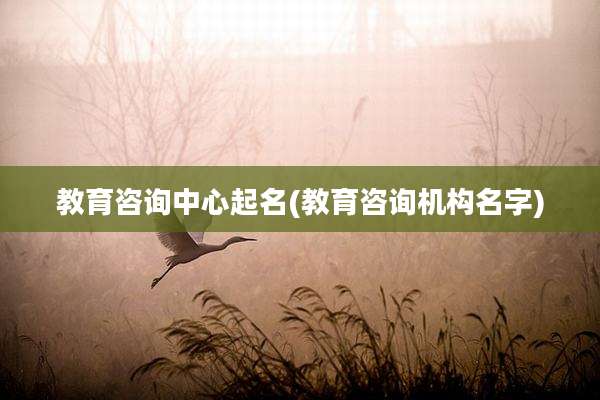 教育咨询中心起名(教育咨询机构名字)