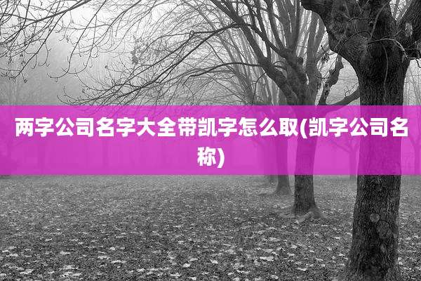 两字公司名字大全带凯字怎么取(凯字公司名称)
