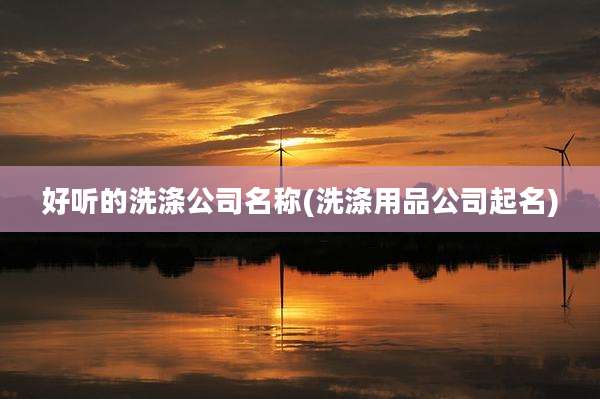 好听的洗涤公司名称(洗涤用品公司起名)