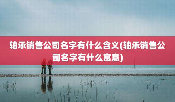 轴承销售公司名字有什么含义(轴承销售公司名字有什么寓意)