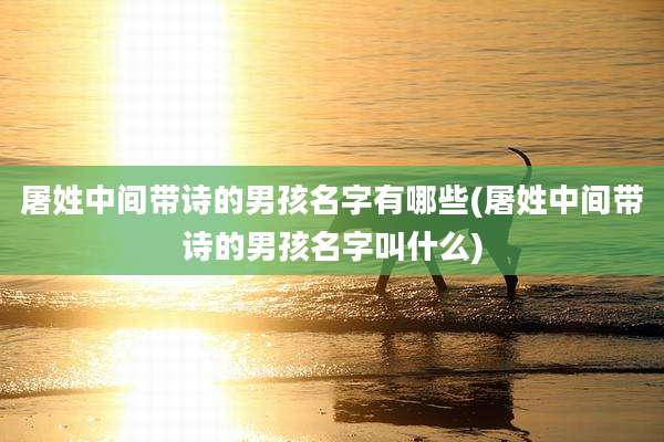 屠姓中间带诗的男孩名字有哪些(屠姓中间带诗的男孩名字叫什么)