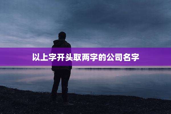 以上字开头取两字的公司名字