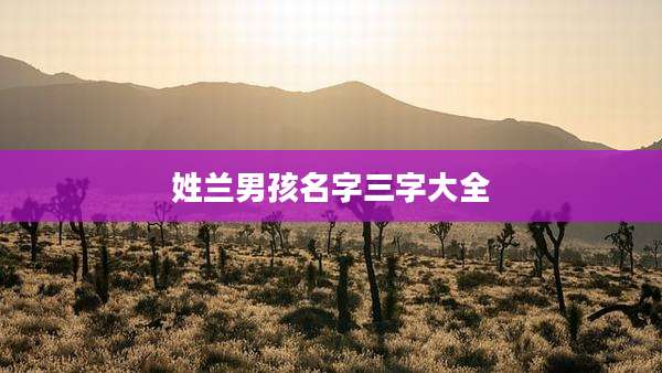 姓兰男孩名字三字大全