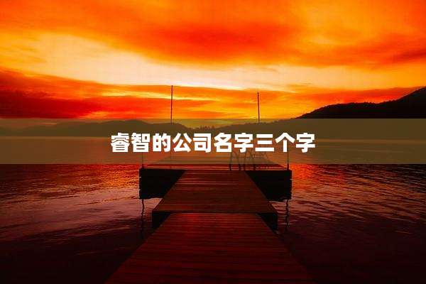 睿智的公司名字三个字