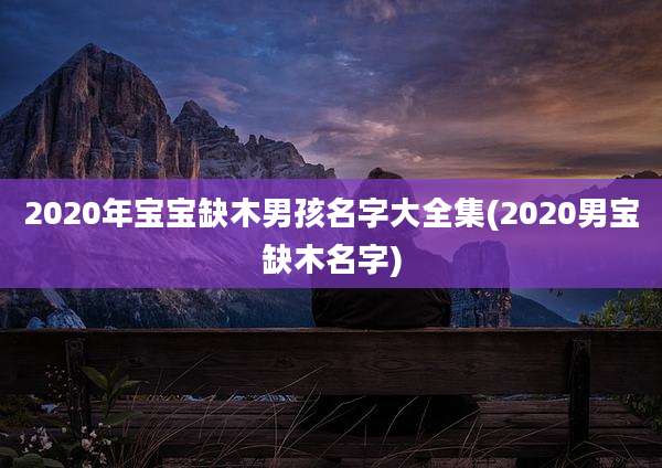 2020年宝宝缺木男孩名字大全集(2020男宝缺木名字)