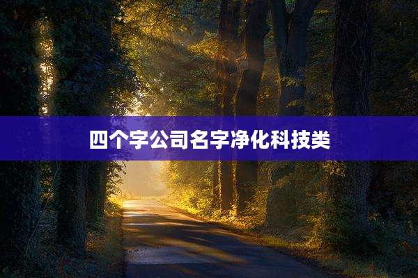 四个字公司名字净化科技类