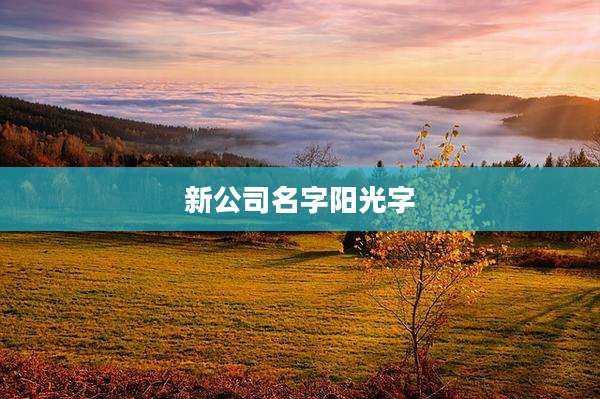 新公司名字阳光字