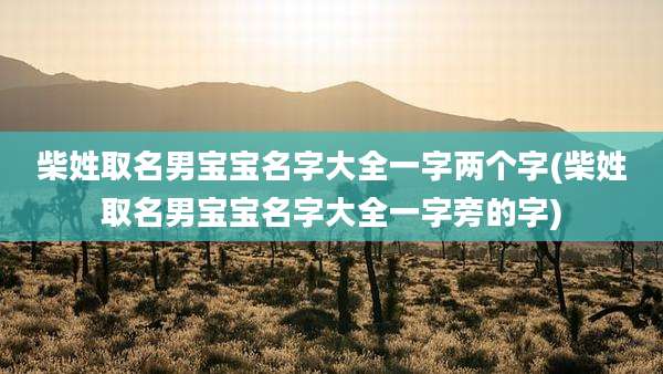 柴姓取名男宝宝名字大全一字两个字(柴姓取名男宝宝名字大全一字旁的字)