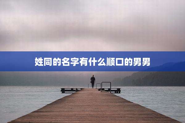 姓同的名字有什么顺口的男男