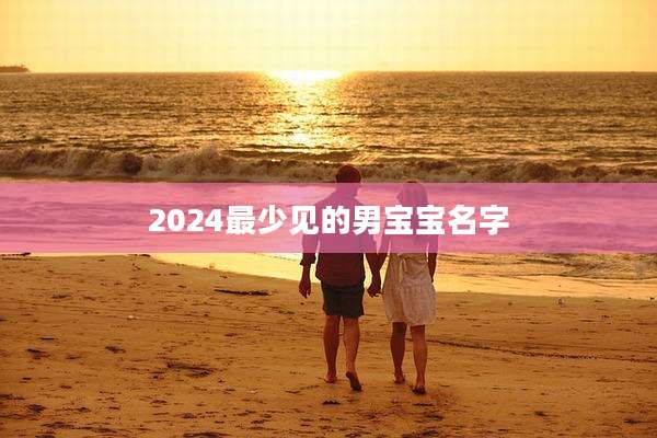 2024最少见的男宝宝名字