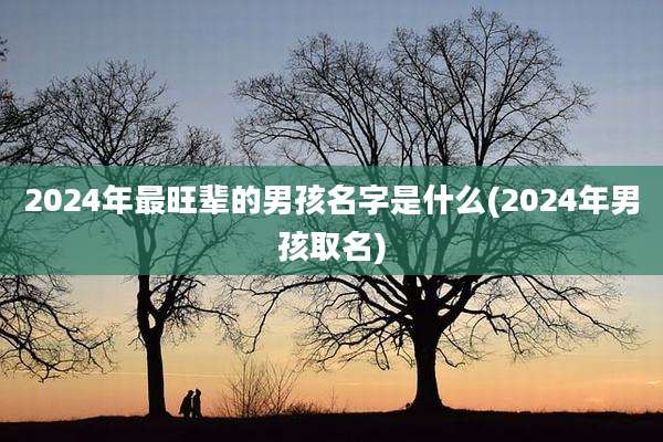 2024年最旺辈的男孩名字是什么(2024年男孩取名)