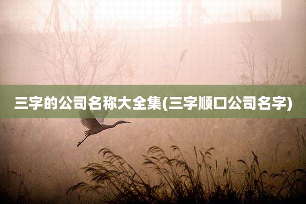 三字的公司名称大全集(三字顺口公司名字)