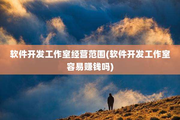 软件开发工作室经营范围(软件开发工作室容易赚钱吗)