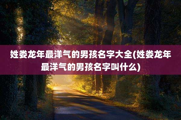 姓娄龙年最洋气的男孩名字大全(姓娄龙年最洋气的男孩名字叫什么)