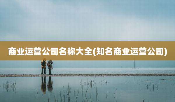 商业运营公司名称大全(知名商业运营公司)