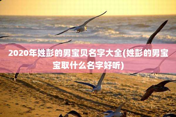 2020年姓彭的男宝贝名字大全(姓彭的男宝宝取什么名字好听)