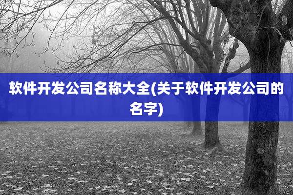 软件开发公司名称大全(关于软件开发公司的名字)