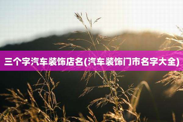 三个字汽车装饰店名(汽车装饰门市名字大全)