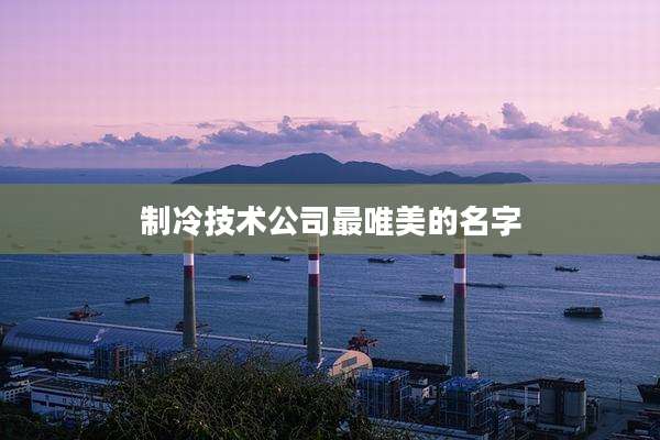 制冷技术公司最唯美的名字