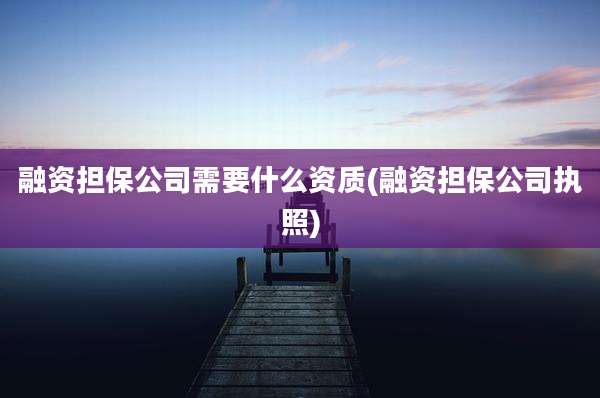 融资担保公司需要什么资质(融资担保公司执照)