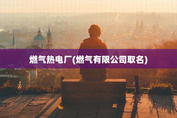 燃气热电厂(燃气有限公司取名)