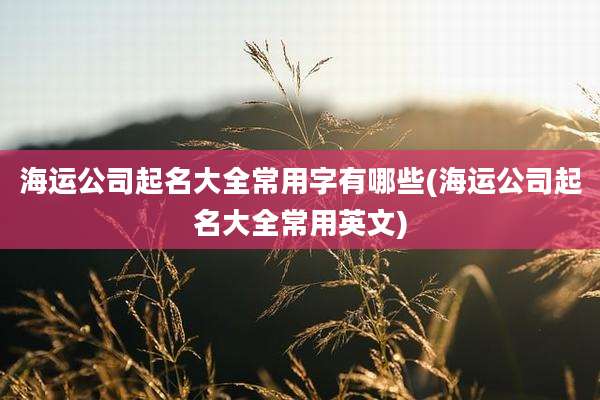 海运公司起名大全常用字有哪些(海运公司起名大全常用英文)