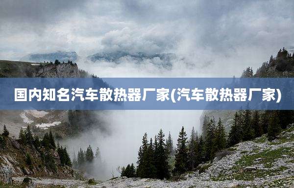 国内知名汽车散热器厂家(汽车散热器厂家)