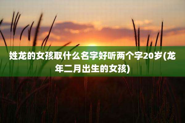 姓龙的女孩取什么名字好听两个字20岁(龙年二月出生的女孩)