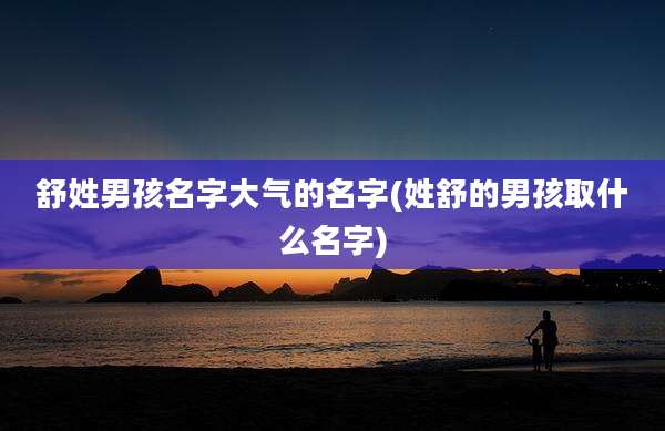舒姓男孩名字大气的名字(姓舒的男孩取什么名字)