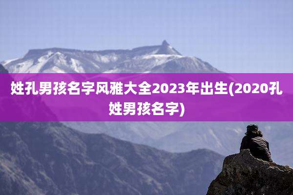 姓孔男孩名字风雅大全2023年出生(2020孔姓男孩名字)