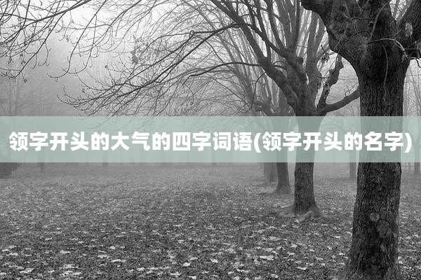 领字开头的大气的四字词语(领字开头的名字)