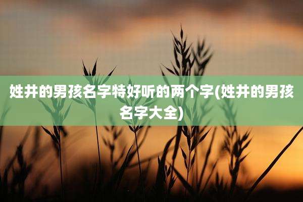 姓井的男孩名字特好听的两个字(姓井的男孩名字大全)
