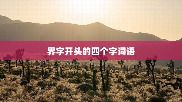 界字开头的四个字词语