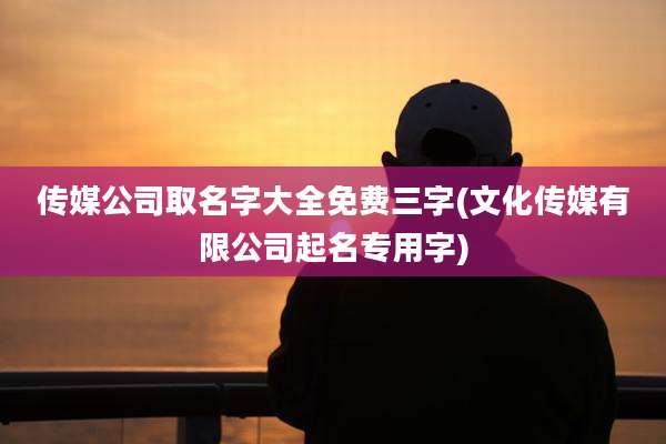 传媒公司取名字大全免费三字(文化传媒有限公司起名专用字)