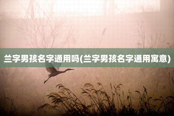 兰字男孩名字通用吗(兰字男孩名字通用寓意)