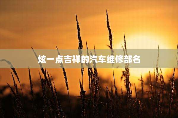 炫一点吉祥的汽车维修部名