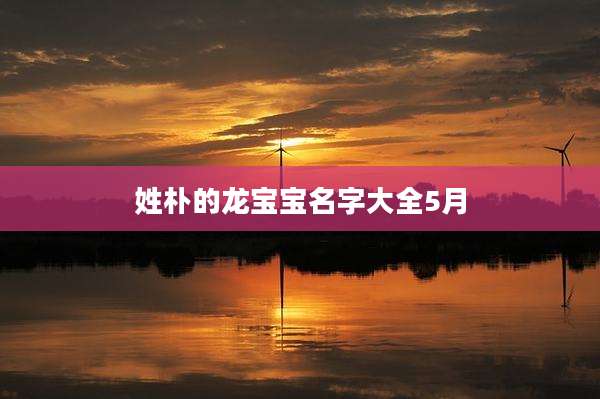 姓朴的龙宝宝名字大全5月